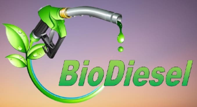 Biodiesel Prices kept on rising along with the Prices of Edible Oil Globally
